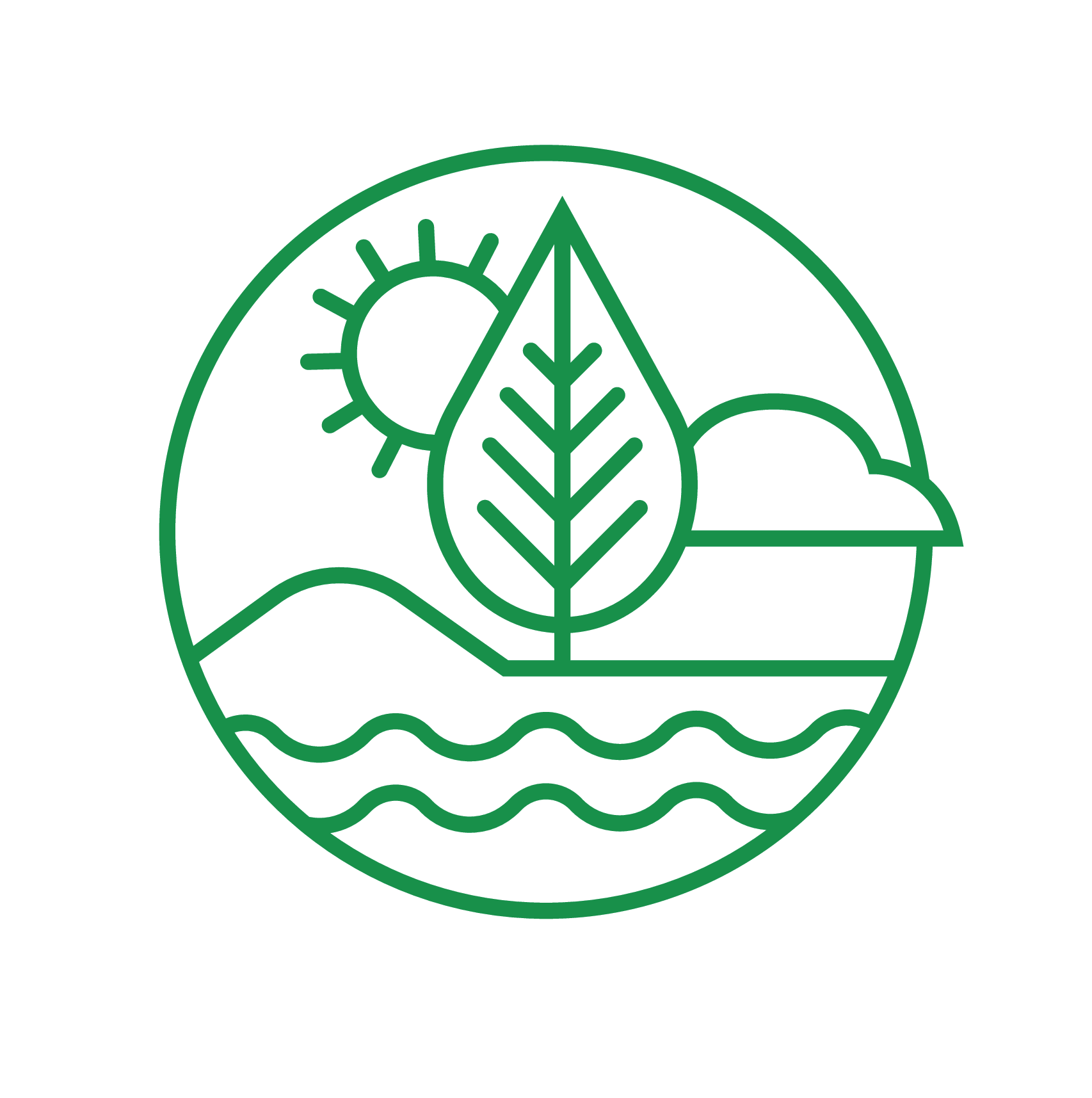 null